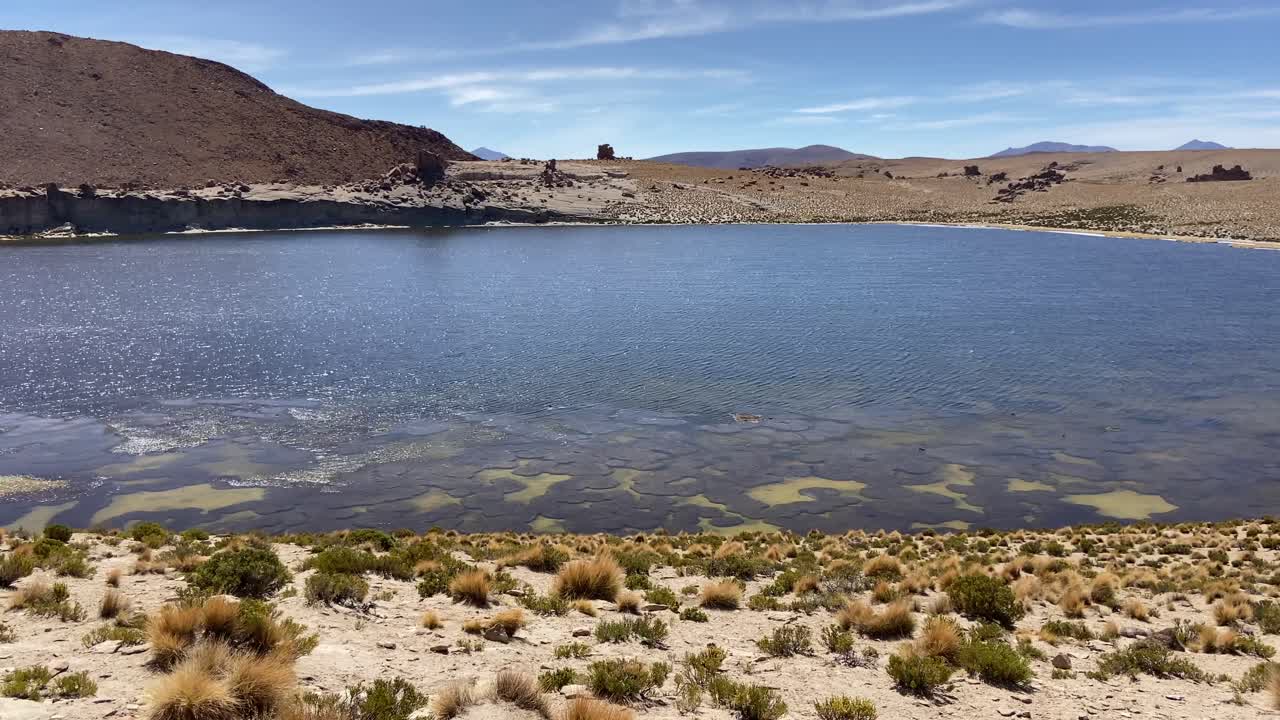 Sud Lipez highlands laguna lake nature landscape Bolivia South America