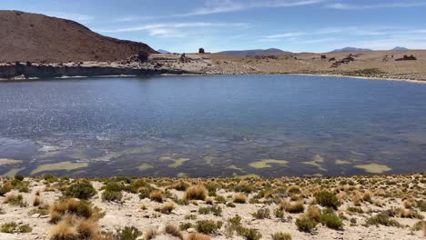 sud lipez highlands laguna lake nature landscape bolivia south america