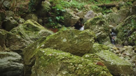 Escena-Natural-Tranquila-En-Un-Valle-Montañoso-Cubierto-De-Musgo,-Naturaleza-En-Cámara-Lenta-Filmada-4k