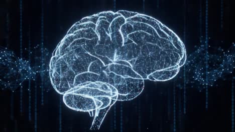 a stunning representation of the brain with digital neural networks, showcasing the intersection of technology and human cognition in a dynamic display
