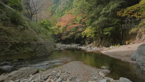 avión no tripulado volar bajo japonés zen río de piedra en el bosque otoño valle paisaje agua de tradicional japón cedro coloridos naranja y árboles verdes en kitayama wakayama