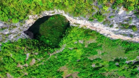 aerial drone footage hovering and flying lower towards xiaozhai tiankeng or heavenly pit world deepest sinkhole in china that is a large hole in a steep cliff in green nature. trees and rocks visible.