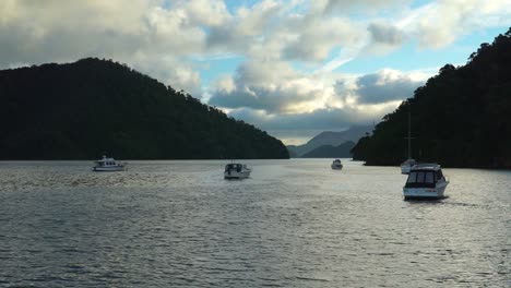 anchored boats in bay in marlborough sounds, new zealand