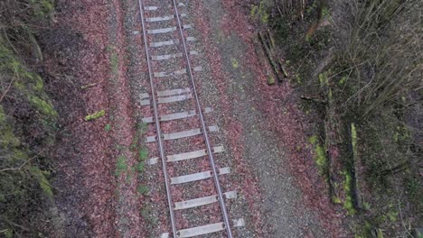 railway track with fallen leaves at daytime