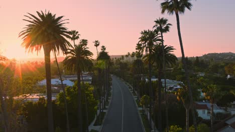 Drone-Flying-Through-Beverly-Hills,-Palm-Tree-Lined-Iconic-Street-at-Sunset,-Pastel-Pink-Sky-Above-and-Gorgeous-Homes-Below