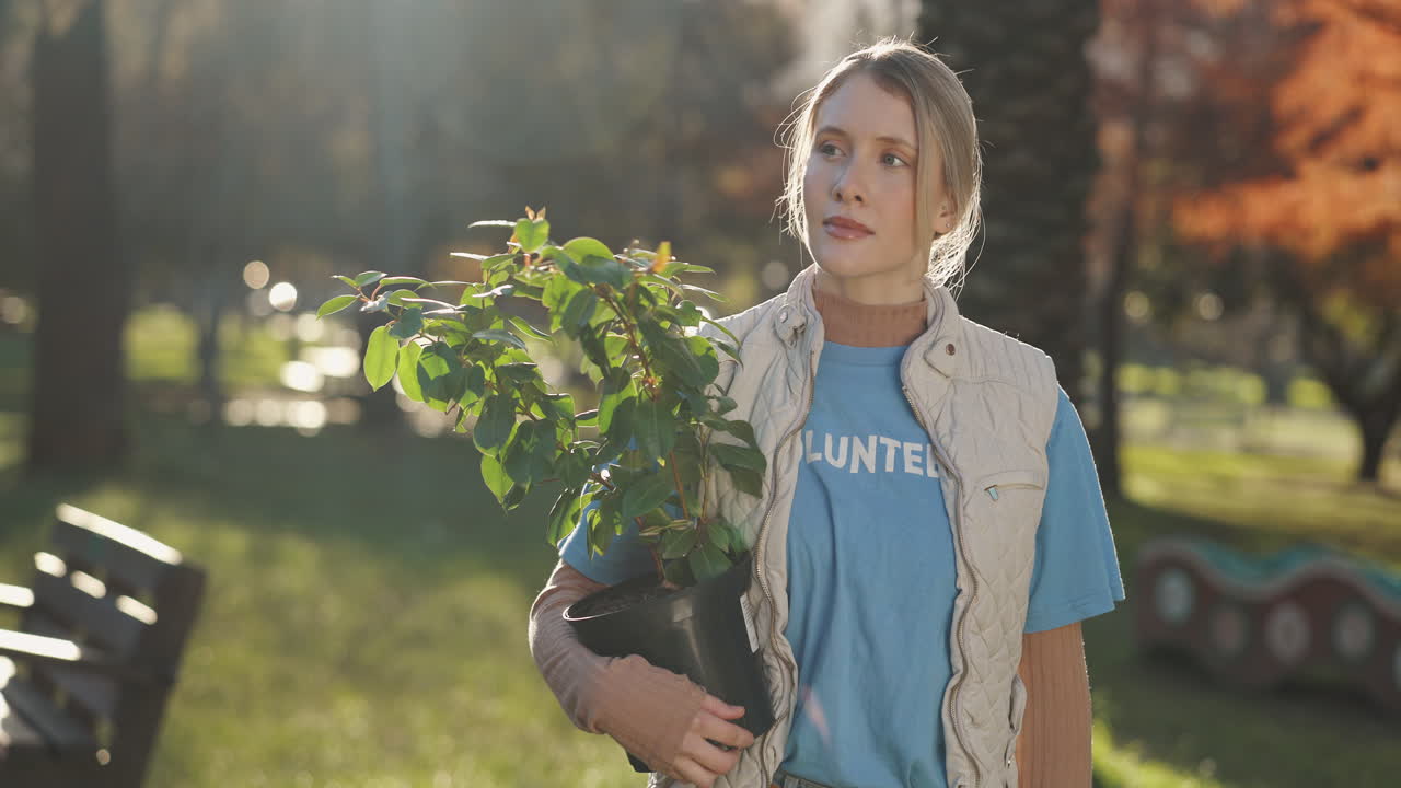 mujer voluntaria plantando un árbol en un parque