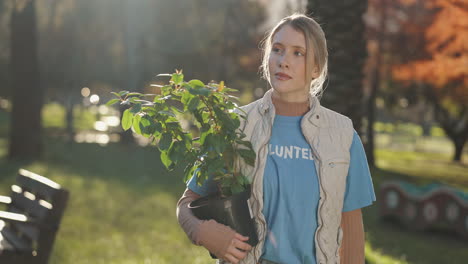 woman volunteer planting a tree in a park