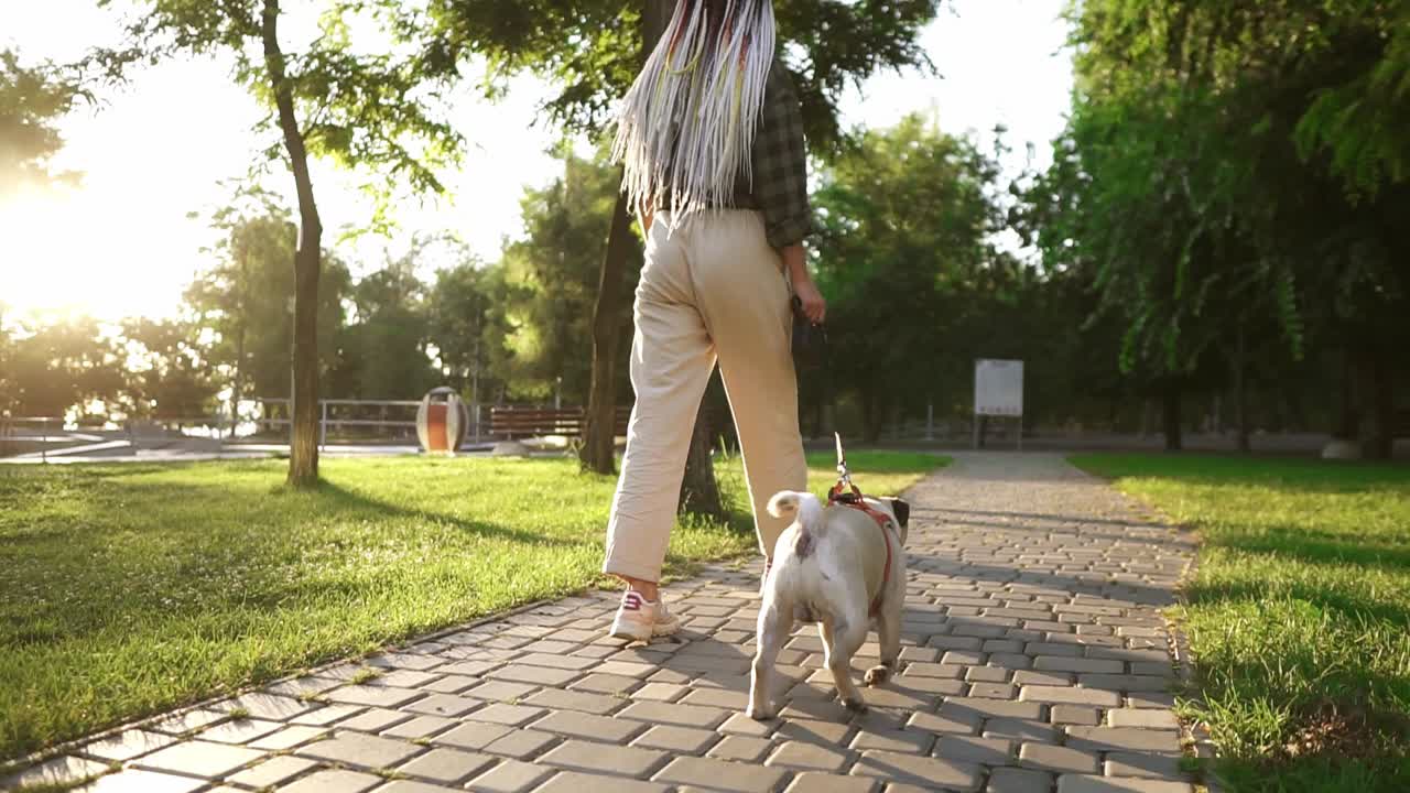 vista rara de un pug camina en el parque con la dueña femenina liderando la correa. las bengalas de la lente