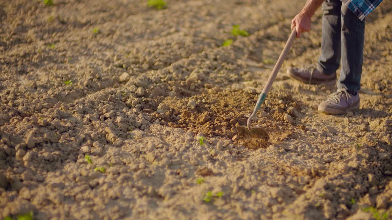 농업 도구는 필드 1 괭이입니다