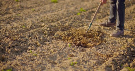 Landwirtschaftliches-Werkzeug-Hackt-Feld-1