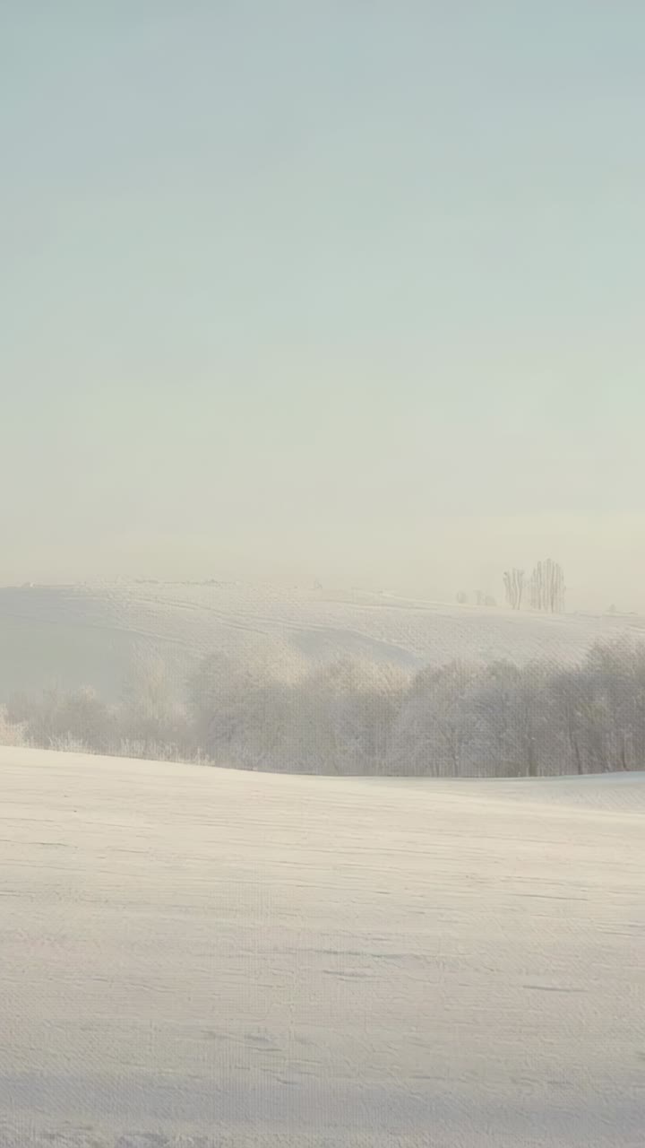 Vertical video: Recording camera capturing snowy field and tree line in valley, with distant ridge
