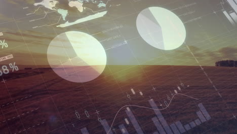 animation of statistics and financial data processing over agriculture field