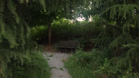 banco solitario a lo largo de un sendero para caminar en un parque de la ciudad de nashville