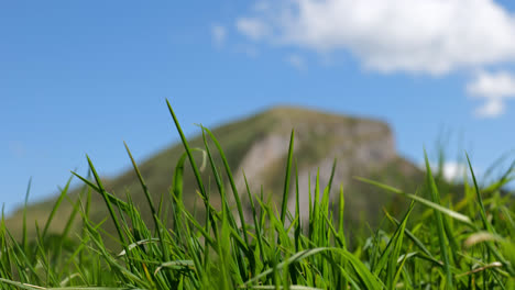 Primer-Plano-De-Hierba-Verde-Fresca-Moviéndose-En-El-Viento-Con-Las-Montañas-Rocosas-Del-Cáucaso-En-El-Fondo,-En-Un-Día-Soleado