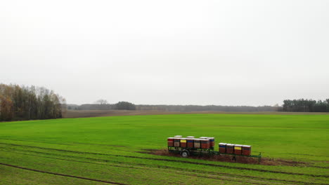 drone shot of apiary with bees on the trailer in the middle of the green meadow on a rainy day