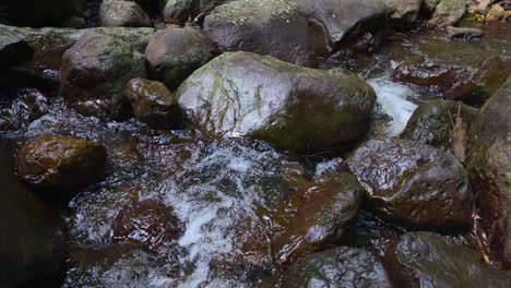 water flowing over rocks in a rainforest