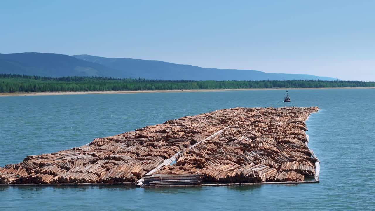 Discover the export timber industry through aerial drone footage of a logging tugboat navigating a remote Canadian forest, showcasing the scale of natural resource transportation.