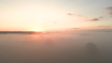 misty sunrise over a field