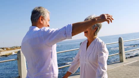 Senior-couple-embracing-each-other-near-seaside-4k