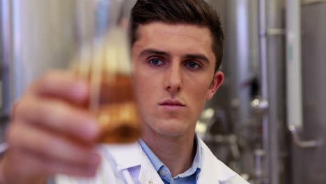 brewery worker checking the product