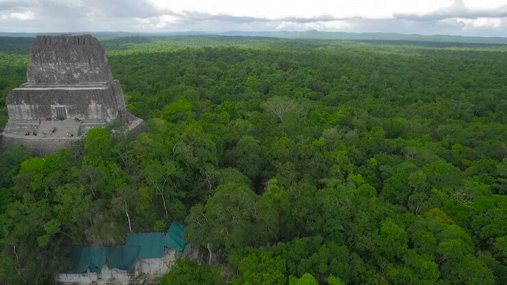 Spettacolare ripresa aerea sopra le cime degli alberi e le piramidi di Tikal in Guatemala 4