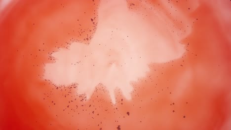 pequeñas burbujas grises transparentes se mueven hacia el centro del fluido rojo