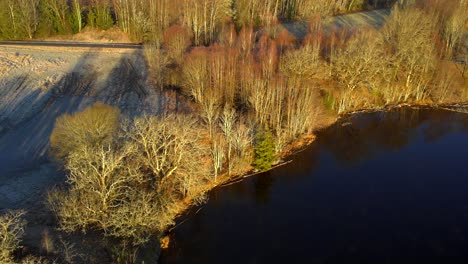 Luftaufnahme-Vom-Waldstrand,-Wenn-Sich-Die-Drohne-Rückwärts-Bewegt