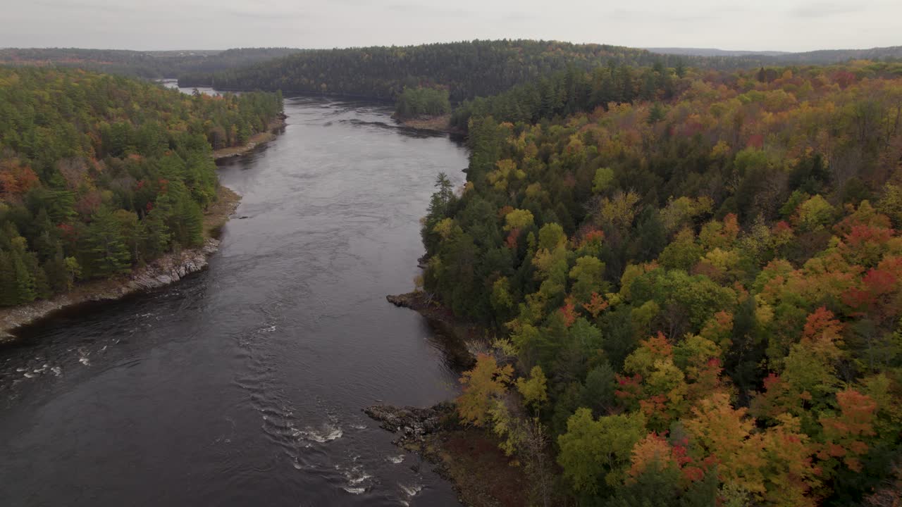 A bird's eye view of Canada's vast forests in autumn colours, a river flowing through them
