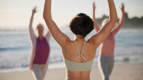 Clase-De-Yoga-En-La-Playa,-Gente-Y-Espalda-Del-Entrenador.