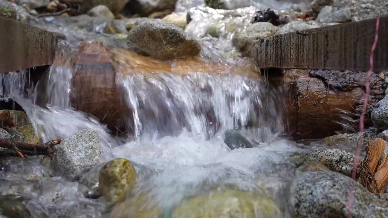 Clear stream cascades over rounded rocks and a wooden barrier in a forested mountain setting