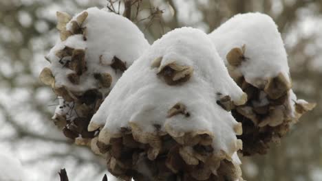 First-serious-snowstorm-of-the-winter-this-year-2021,-in-the-United-Kingdom-here-in-Oakham-in-the-county-of-Rutland