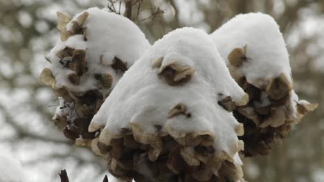 primera tormenta de nieve seria del invierno este año-2021, en el reino unido aquí en oakham en el condado de rutland