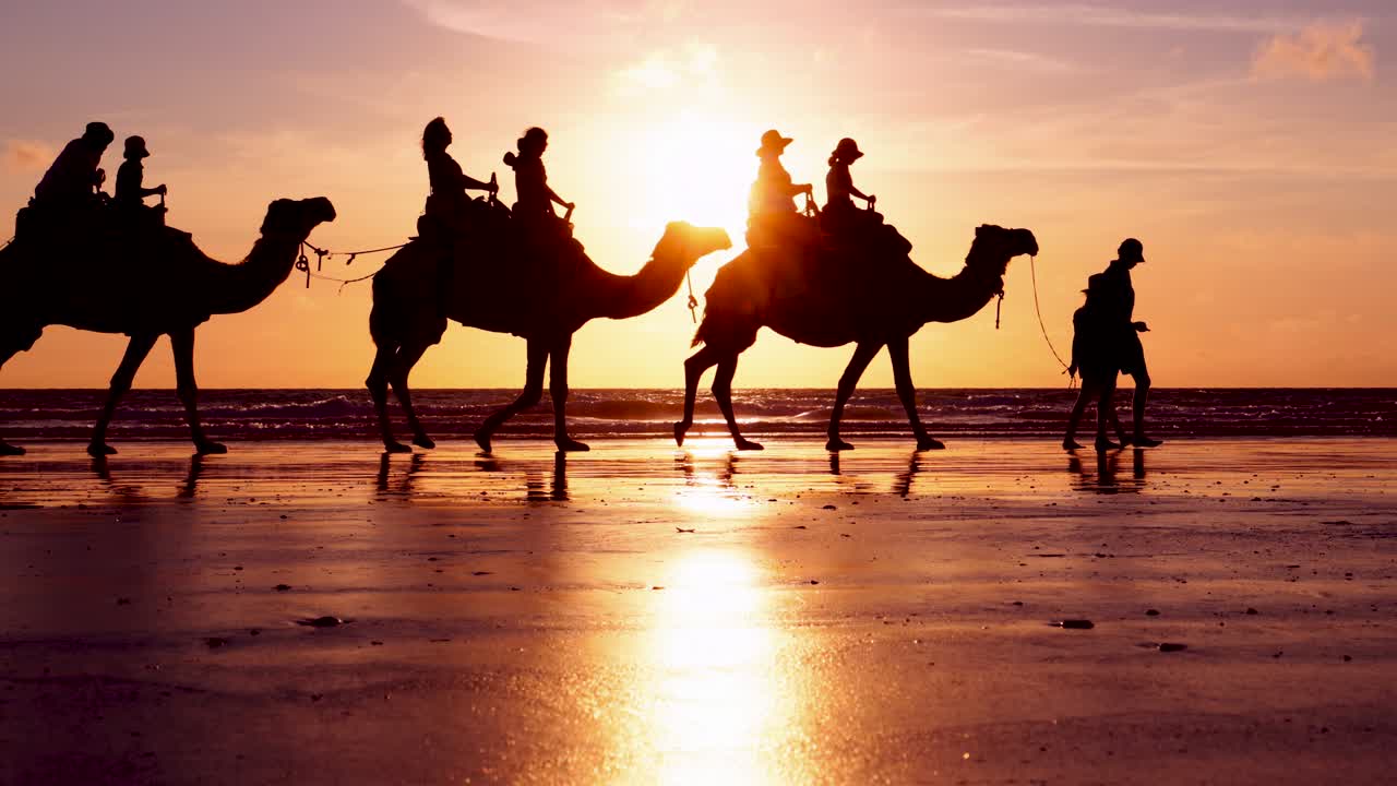 las impresionantes siluetas de camellos en la playa de cable en broome, australia