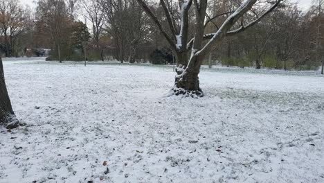 Pan-up-on-a-tree-in-park-covered-of-snow-Berlin-in-wintertime-in-Park-Hasenheinde-HD-30-FPS-6-secs