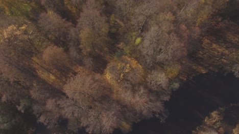 Las-Orillas-Del-Río-Serpenteante-Cubierto-De-árboles-En-Un-Soleado-Día-De-Otoño