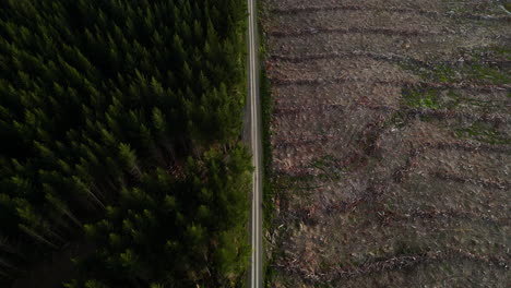 Una-Vista-Superior-Del-Bosque-De-Pinos-En-El-Lado-Izquierdo-De-La-Carretera-Y-Suelo-Vacío-En-El-Lado-Derecho-Como-Resultado-De-La-Deforestación,-El-Cambio-Climático-Y-El-Calentamiento-Global