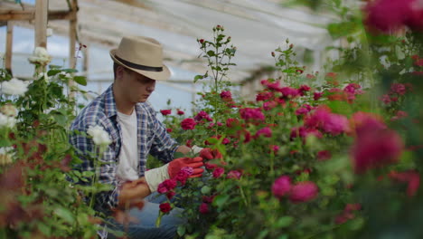 hermoso hombre florista en delantal y guantes rosados de pie y felizmente trabajando con flores en el invernadero.
