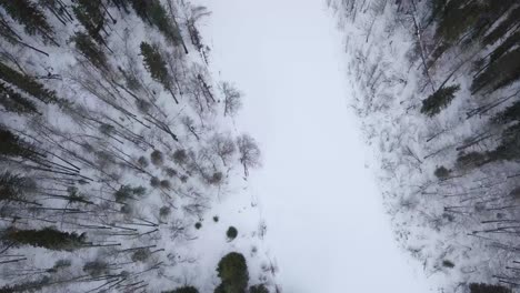 Aerial-Top-down-view-of-Alaska-River,-Frozen-Riverbank,-Green-Trees,-Lots-of-Snow