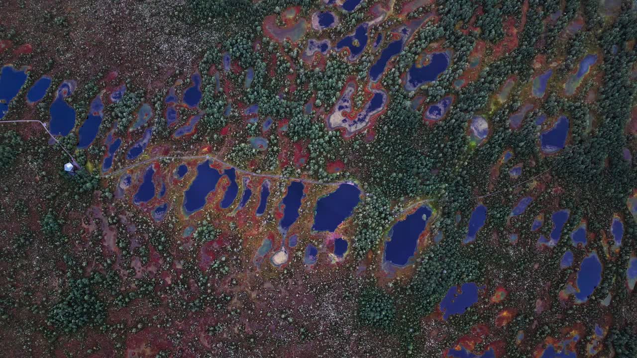 Viru Bog Estonia presents a vibrant aerial view with scattered reflective bog lakes rich moss colors and pine forest making it a remarkable nature attraction in northern Europe