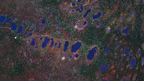 Viru Bog Estonia presents a vibrant aerial view with scattered reflective bog lakes rich moss colors and pine forest making it a remarkable nature attraction in northern Europe