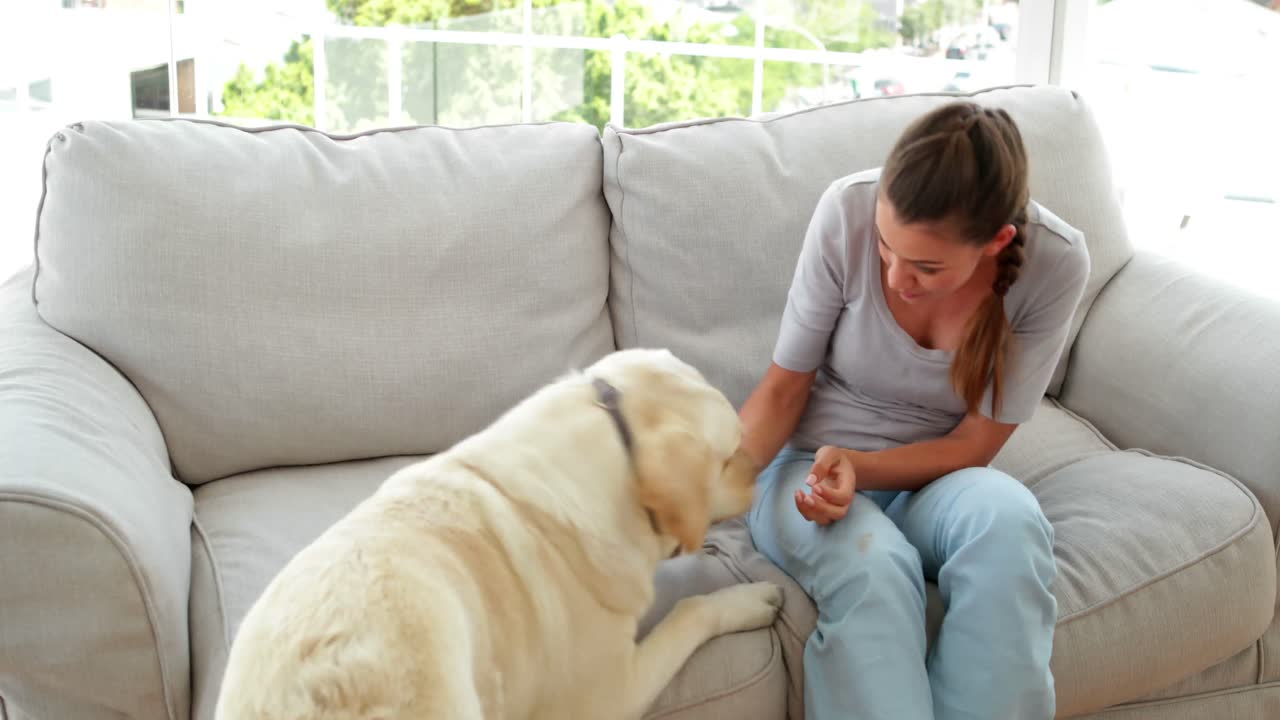 소파에서 라브라도르 개와 놀고 있는 웃는 여자