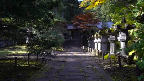 slow dolly inside japanese temple grounds during autumn colors