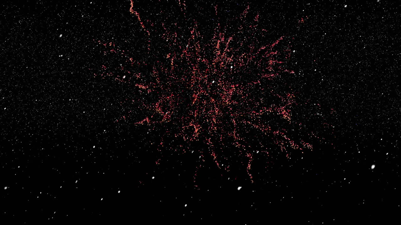 불꽃 놀이 함께 밤하늘