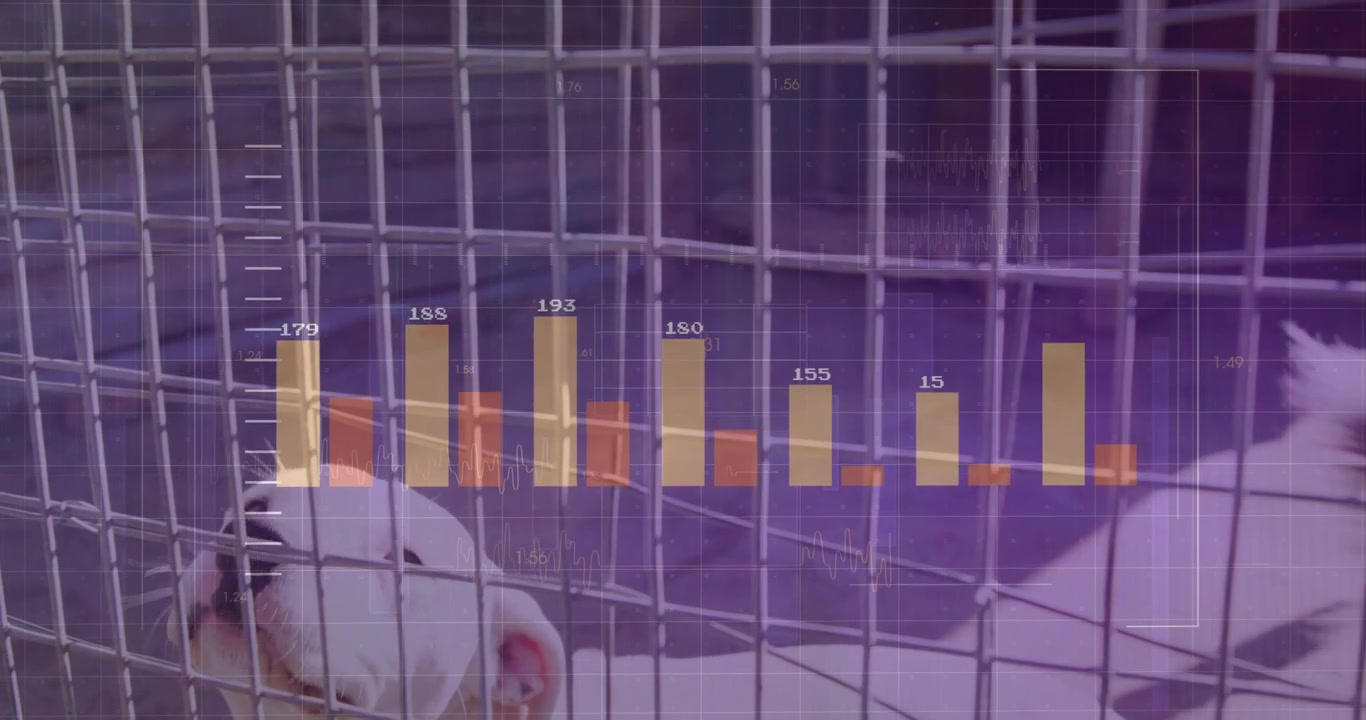 White dog lifting head in kennel, causing orange bars and ticks multiplying for shelter analytics