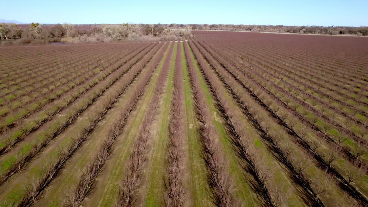 extracción aérea sobre almendros cerca de modesto california en el valle de san joaquín