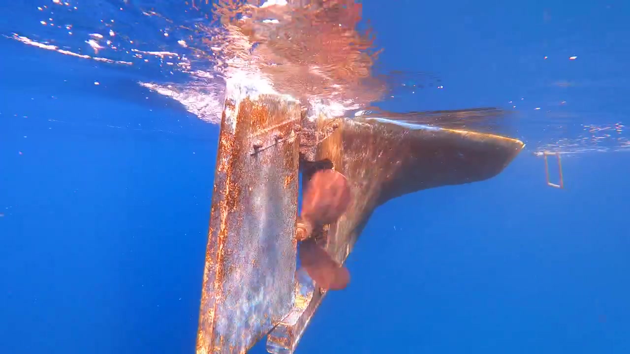Underwater View of a Boat Propeller Starting to Spin