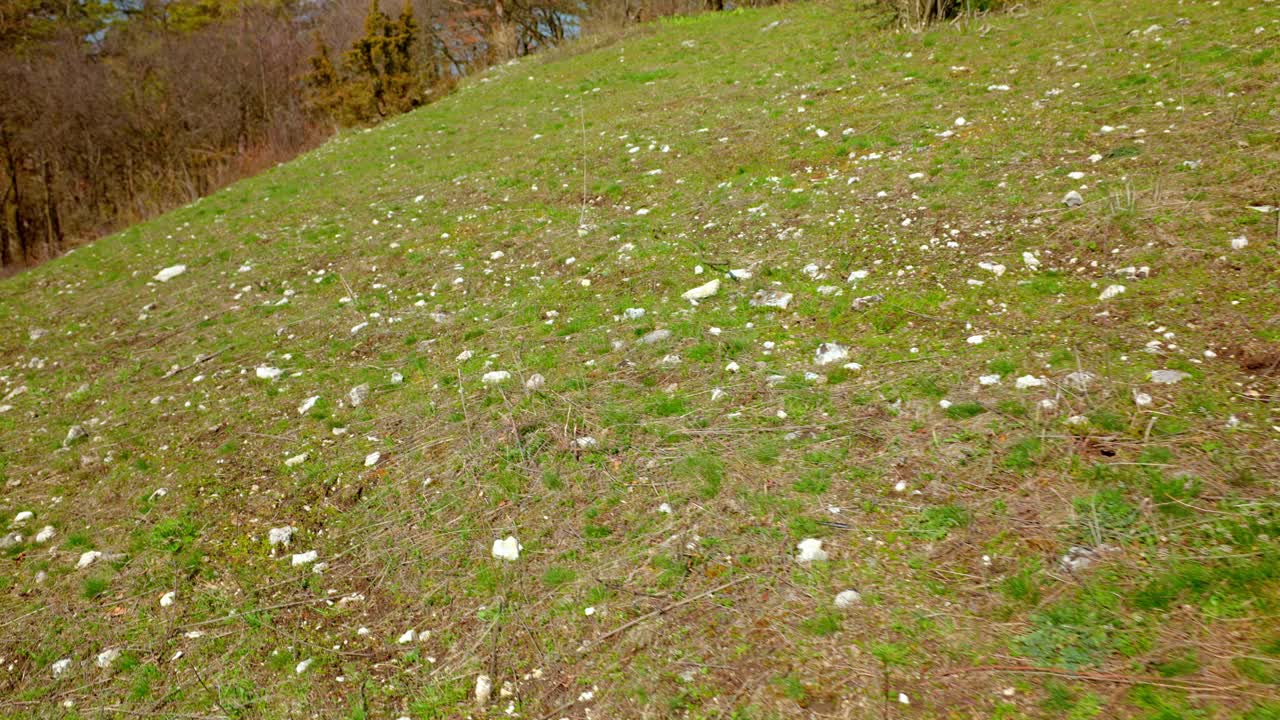 prado de piedra alpino en el campo - disparo de avión no tripulado