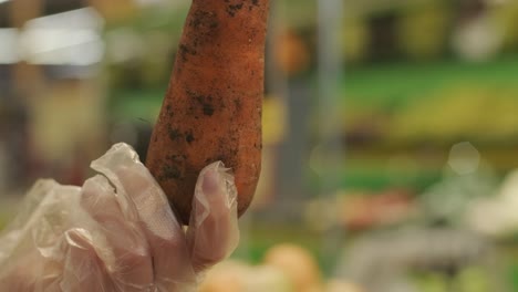 fresh organic vegetables at the farmers market. raw vegetables at the fresh produce section of the store. earth concept, fresh harvest