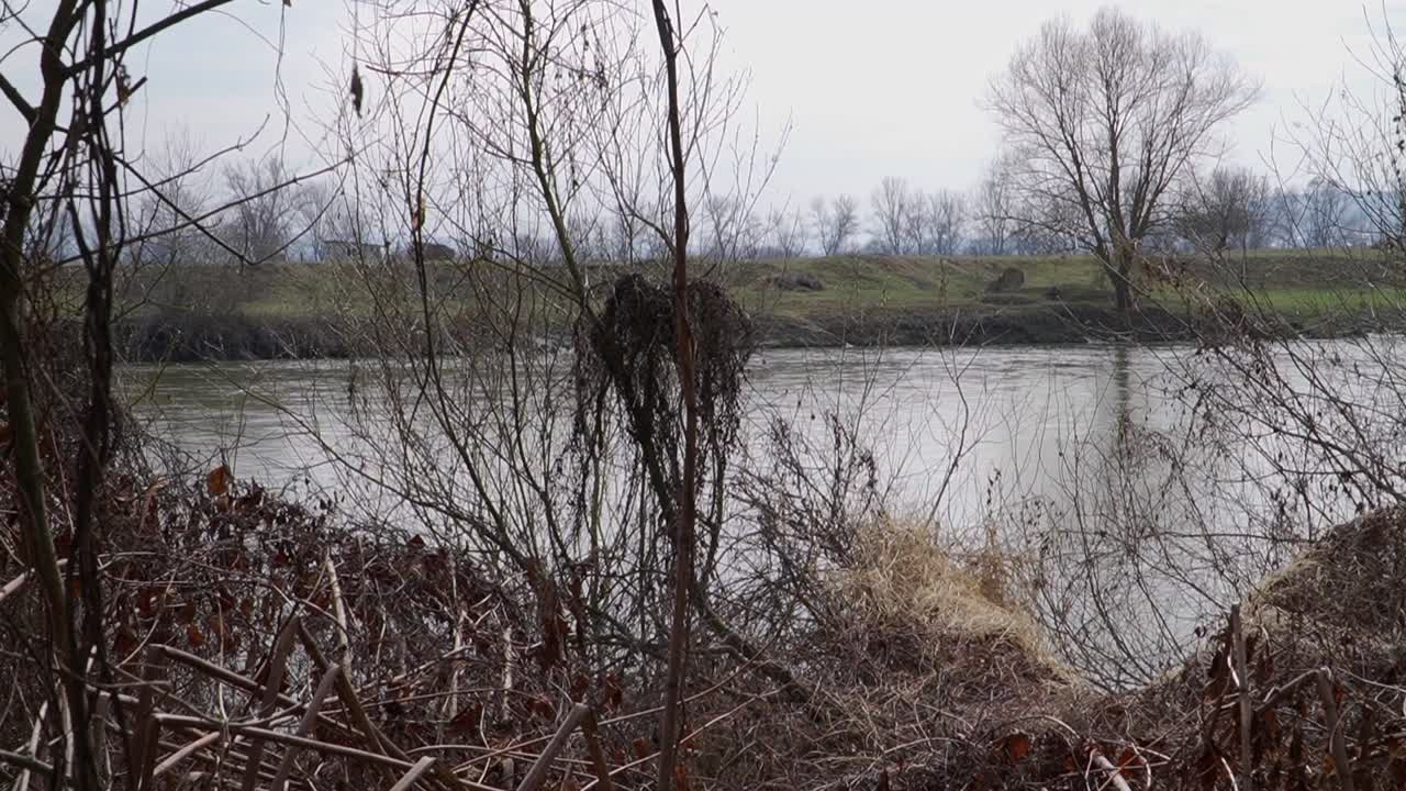 A calm, muted river scene featuring leafless trees and grassy banks under an overcast sky. Perfect for seasonal, nature, and editorial projects.