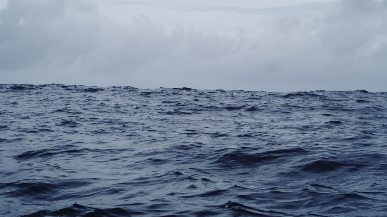 Distant view of calm open ocean under soft overcast light with gentle rolling swells